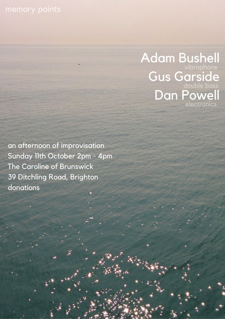 Adam Bushell & The Static Memories